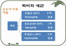 호기성 혐기성 발효조  5페이지