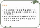 호기성 혐기성 발효조  13페이지