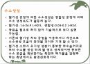 호기성 혐기성 발효조  17페이지