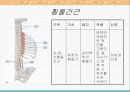 [해부생리] 척추를 움직이는 근육들 10페이지