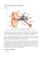 [언어치료학] 청각장애에 대해서 4페이지
