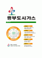 [중부도시가스-신입사원공채합격자기소개서]중부도시가스자기소개서자소서,중부가스자소서자기소개서,중부도시가스자소서합격자기소개서,도시가스자기소개서자소서 8페이지