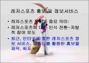 레저스포츠현황 및 발전방향 22페이지