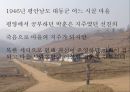 [고전문학] 카인의 후예 _ 작가 황순원.ppt 11페이지