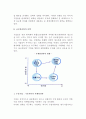 [글로벌 경영전략] 글로벌기업의 전략적 성향, 글로벌경향의 선택 3페이지