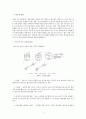 (식품가공학) 호박잼 제조 실습 2페이지