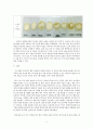 (식품가공학) 밀가루의 Pekar test 5페이지