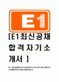 [E1-2013년최신공채합격자기소개서] E1자소서,E1자기소개서,이원자소서,이원합격자기소개서,E1합격자소서 1페이지