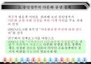 일본의 다문화공생 정책  9페이지