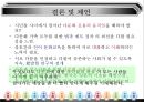 일본의 다문화공생 정책  17페이지