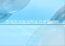 한국의 보험정책과 민영화ISSU  1페이지