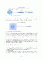 사회복지정책 개발과정(형성 및 결정)  6페이지