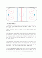 아이스하키에대한 조사연구 8페이지