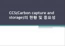 CCS(Carbon capture and storage)의 현황 및 중요성  1페이지