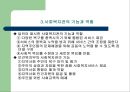 사회복지관(토인비홀, 헐하우스, 한국의사회복지관, 기능과역할, 문제점) 파워포인트 PPT 프레젠테이션 8페이지