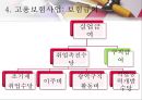 [사회과학] 사회복지법제 26페이지