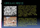 대마도 ppt 14페이지