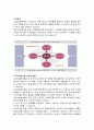 교보생명보험의 인사제도,채용정보,복리후생,연봉자료 정리 7페이지