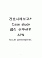 급성신우신염간호진단 케이스스터디 APN acute pyelonephritis Case study 간호사례연구보고서 급성신우신염케이스 1페이지