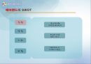  에버랜드의 기업분석, swot, stp , 문제점, 개선사항 13페이지