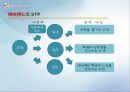  에버랜드의 기업분석, swot, stp , 문제점, 개선사항 17페이지