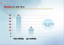  에버랜드의 기업분석, swot, stp , 문제점, 개선사항 20페이지