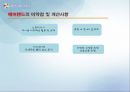  에버랜드의 기업분석, swot, stp , 문제점, 개선사항 27페이지