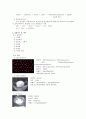 음이온의 확인-점적 분석 2페이지