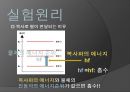 슈테판-볼츠만 실험.pptx 5페이지