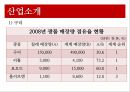 [★평가우수자료★, 칠레의 RCP] 칠레의 국가소개, 산업소개, RCA지수 측정방법 및 그래프 분석 6페이지