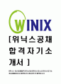 [위닉스-최신공채합격자기소개서] 위닉스자소서,위닉스자기소개서,WiNIX자소서,합격자기소개서,위닉스합격자소서 1페이지