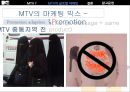 MTV의 글로벌 마케팅  19페이지