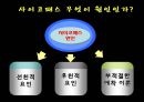 우리 주변에 숨어있는 이상인격자 (사이코패스).ppt 10페이지