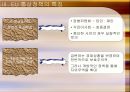 EU(유럽연합)의 공동통상정책.ppt 17페이지