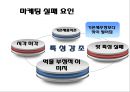  소비자행동론,마케팅실패사례,브랜드마케팅,서비스마케팅,글로벌경영,사례분석,swot,stp,4p 15페이지