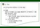  소비정보처리,마케팅,브랜드,브랜드마케팅,기업,서비스마케팅,글로벌,경영,시장,사례,swot,stp,4p 13페이지