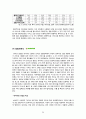 구글 국내시장진출 실패사례분석및 구글 마케팅전략(SWOT,STP,4P)분석과 구글이 향후 나아가야할방향 제안 - 구글 한국시장 진출 문제점과 원인분석 및 결론 20페이지