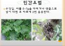 목 디스크(추간판 탈출증) 21페이지