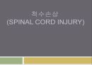 척수손상 (Spinal Cord Injury).PPT자료 1페이지