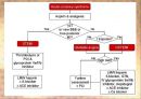 심근경색 (Myocardial Infarction).PPT자료 16페이지