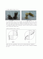 비틀림시험 (Torsion Test) : 재료의 비틀림 거동을 파악한다. 비틀림 거동을 대표하는 전단탄성계수, 전단항복강도, 전당강도를 측정한다 4페이지