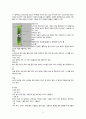 스키 스노우보드의 역사 경기방법 장비 운동기술 9페이지