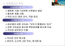 일본의 기업문화  11페이지