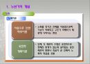 노년기의 발달과 인생의 마무리 5페이지