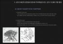  김수근 선생의 부여박물관 (한국 근대건축의 시대적 배경과 전통성에 관한 고찰) 47페이지