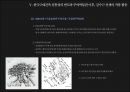  김수근 선생의 부여박물관 (한국 근대건축의 시대적 배경과 전통성에 관한 고찰) 48페이지