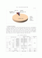  요양보호사 인력체계 레포트 4페이지