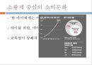 소황제와 소비문화, 바링허우와소비문화,소비문화 5페이지