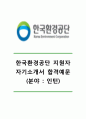 [한국환경공단 자기소개서] 한국환경공단인턴자기소개서,한국환경공단인턴자소서,환국환경공단(인턴)합격자기소개서,한국환경공단(인턴채용)자소서 1페이지