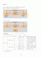 2013년 2학기 IT와경영정보시스템 기말시험 핵심체크 3페이지